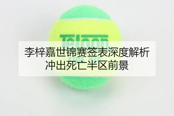 li-zi-jia-shi-jin-sai-qian-biao-shen-du-jie-xi-chong-chu-si-wang-ban-qu-qian-jing-2-202.jpg
