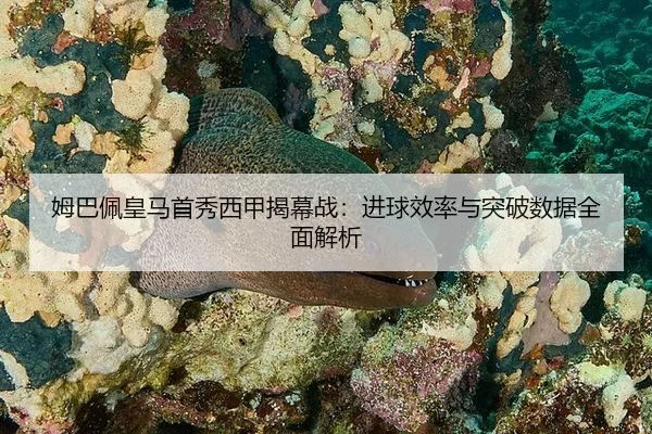 mu-ba-pei-huang-ma-shou-xiu-xi-jia-jie-mu-zhan-jin-qiu-xiao-lv-yu-tu-po-shu-ju-quan-mian-jie-xi-2-578.jpg