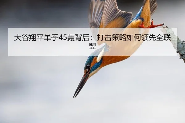 da-gu-xiang-ping-dan-ji-hong-bei-hou-da-ji-ce-lve-ru-he-ling-xian-quan-lian-meng-3-343.jpg