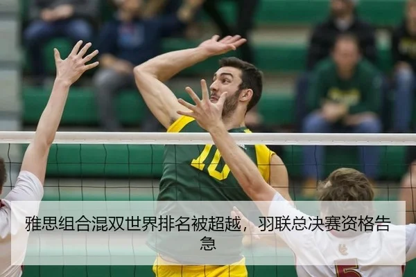 雅思组合混双世界排名被超越，羽联总决赛资格告急
