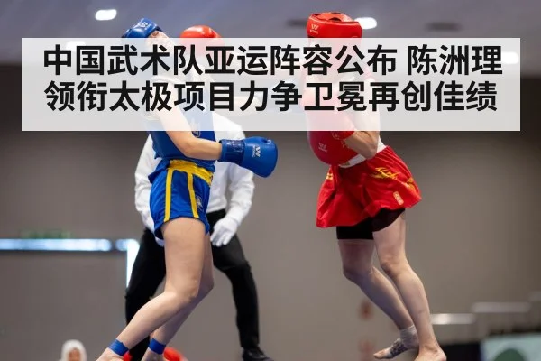 wushu martial arts competition